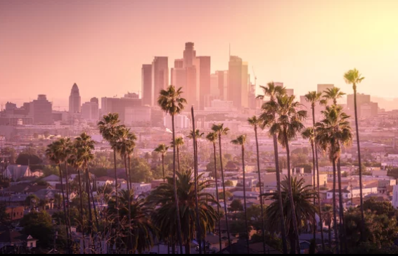 Los Angeles skyline with palm trees at sunset